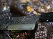 Aka Tori Damaszener-Nakiri-Gemüsemesser 7" mit Gravur - Tokyo Black
