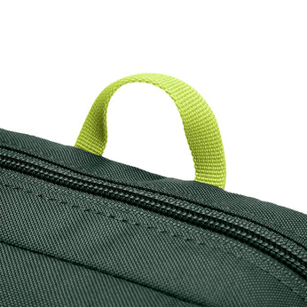 Pacsafe Go Anti-Diebstahl-Umhängetasche - Grün
