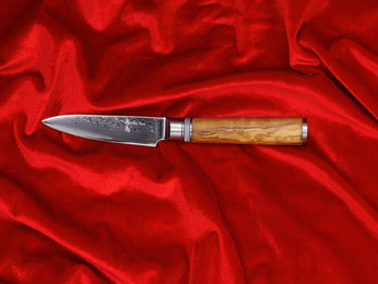 Exclusive Aka Tori Kyoto Olive 3.5" Damascus Steel Paring Knife – Business Gift with Custom Engraving Option