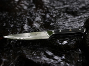 Exclusive Aka Tori Osaka Pro 5" Damascus Steel Utility Knife – Business Gift with Custom Engraving Option