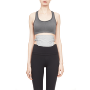 Pacsafe coversafe x100 diskrete anti-diebstahl-geldbörse - grau