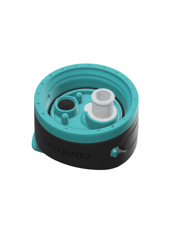 Water bottle Contigo Ashland 2.0 720ml - Juniper