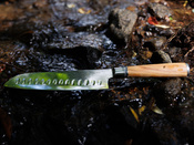 Exklusives Aka Tori Kyoto Olive 7" Santoku-Messer aus Damaszener Stahl – Business-Geschenk mit Gravuroption